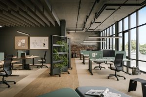 montevo 2024 b01 v01