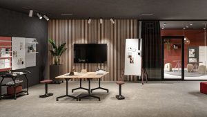 assmann bari milieu 5